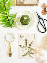 Load image into Gallery viewer, Secret Garden Custom Styling Kit