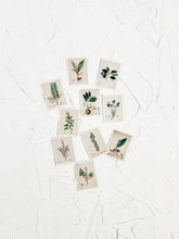 Load image into Gallery viewer, Set of 10 Vintage Stamps