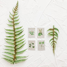 Load image into Gallery viewer, Botanical Flat Lay Styling Kit for Photographers, velvet ring box, gold magnifying glass, vintage stamps, silk ribbon, white trinket dish