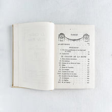 Load image into Gallery viewer, French Antique HB Nelson Books
