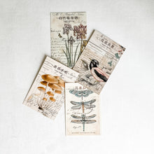 Load image into Gallery viewer, Set of 4 Spring Postcard Replicas
